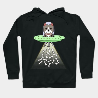 Funny grey dog is flying a ufo Hoodie